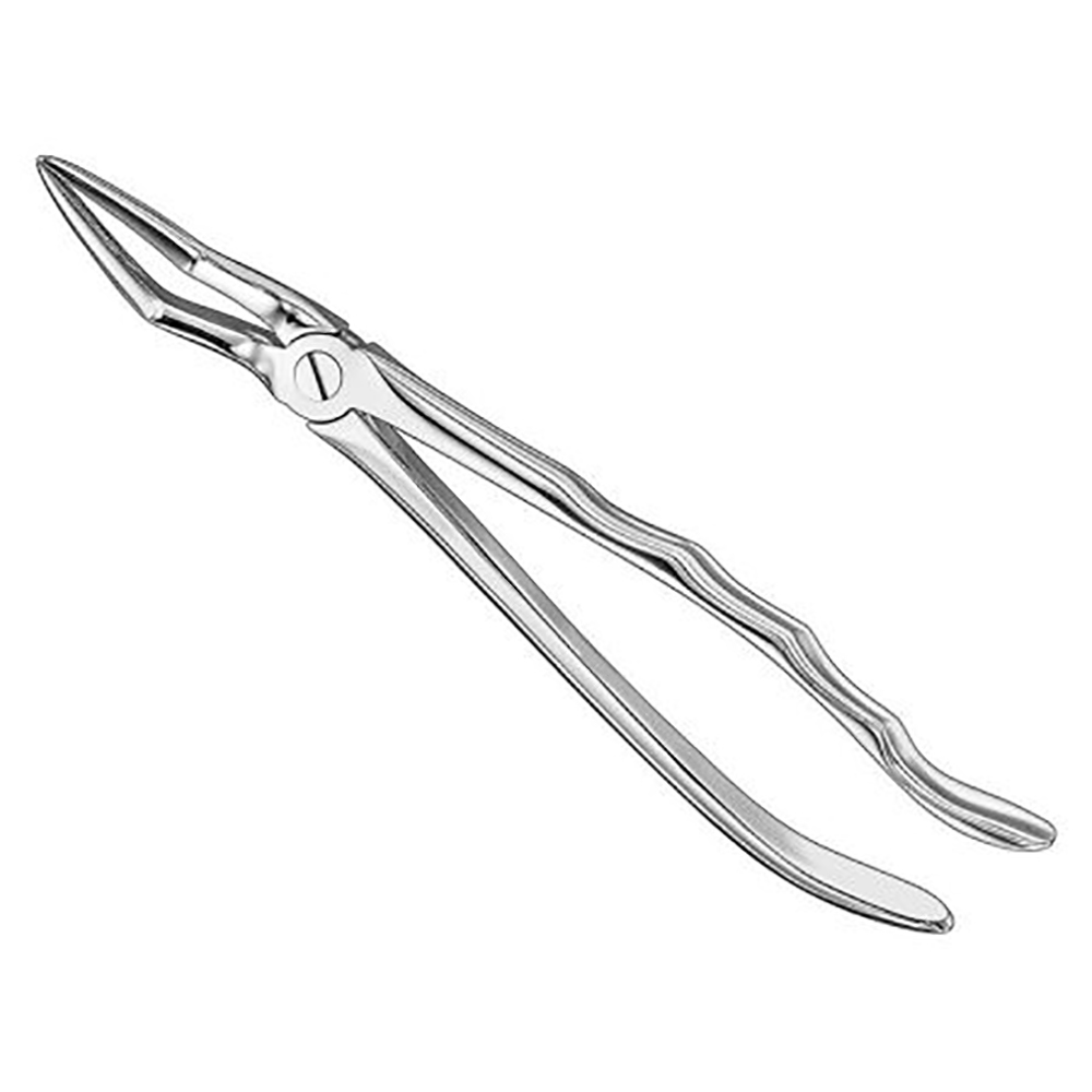 extracting-forceps-anatomically-shaped-handle-standard7