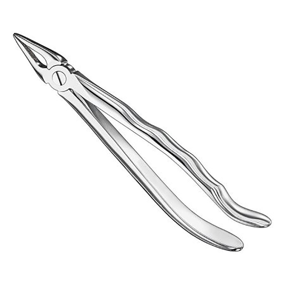 extracting-forceps-anatomically-shaped-handle-standard5